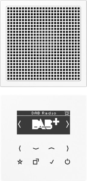 Jung Smart DAB+ Digitalradio DAB LS1 WW