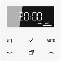 Jung Timer Standard, Display A 1750 D WW