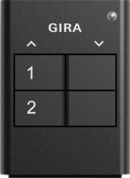 Gira KNX RF-Handsender 2-fach anth 512200