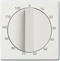 Busch-Jaeger 1771-884-103 Zentralscheibe stud-ws/mt