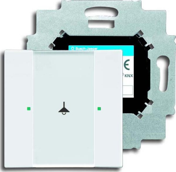 Busch-Jaeger 6125/01-84 Tastsensor, 1fach