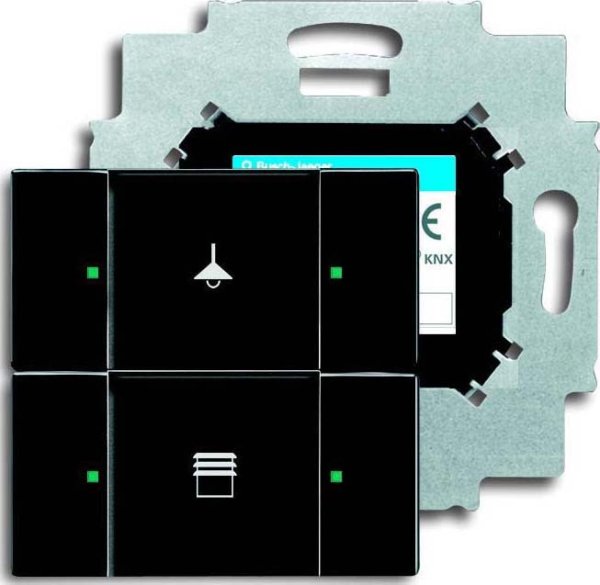 Busch-Jaeger 6126/01-885 Tastsensor 2fach