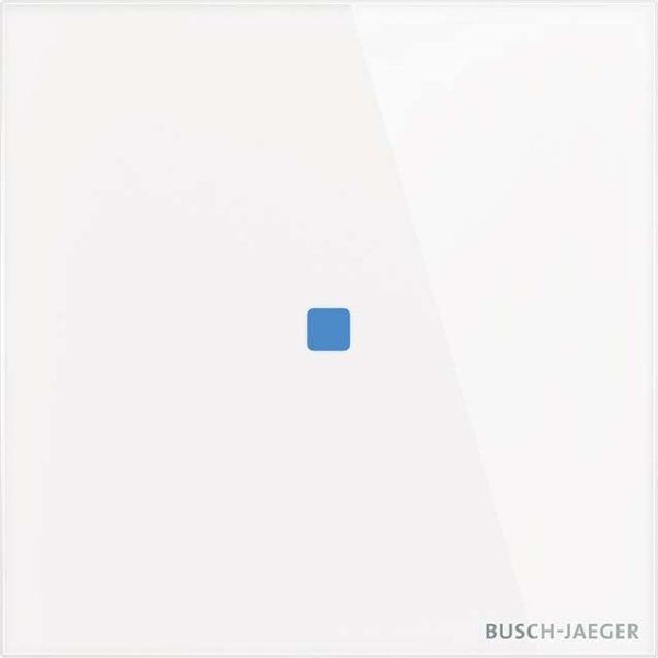 Busch-Jaeger TB/U1.1.11-CG Touch-Bedienelement