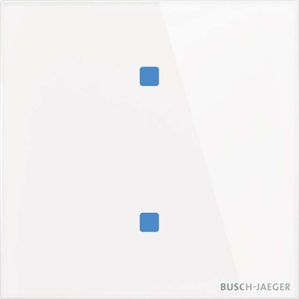 Busch-Jaeger TB/U2.4.11-CG Touch-Bedienelement