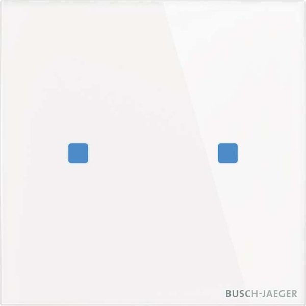 Busch-Jaeger TB/U2.5.11-CG Touch-Bedienelement