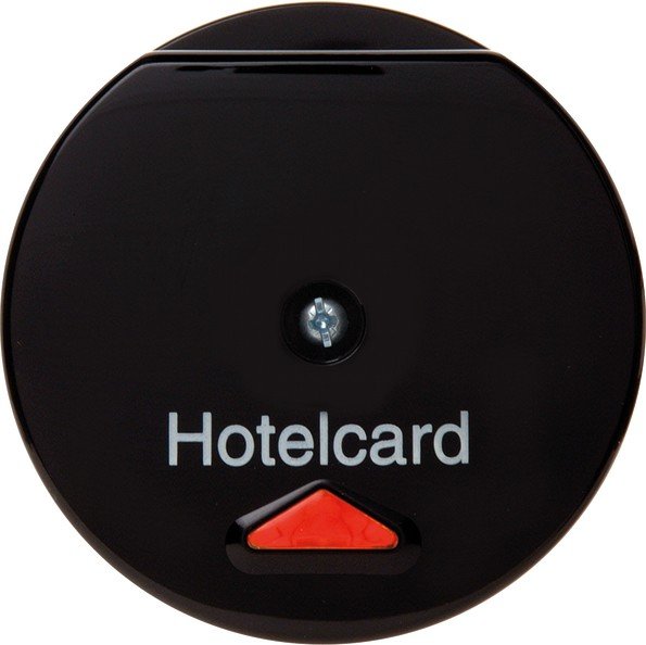 Berker Hotelcardschalter sw 164165