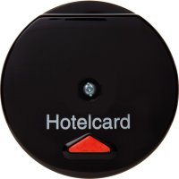 Berker Hotelcardschalter sw 164165